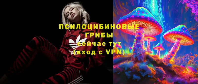 blacksprut сайт  где продают   Динская  Галлюциногенные грибы Psilocybe 